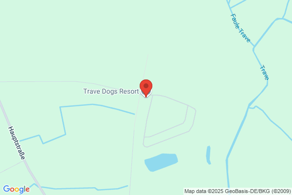 Dog Training