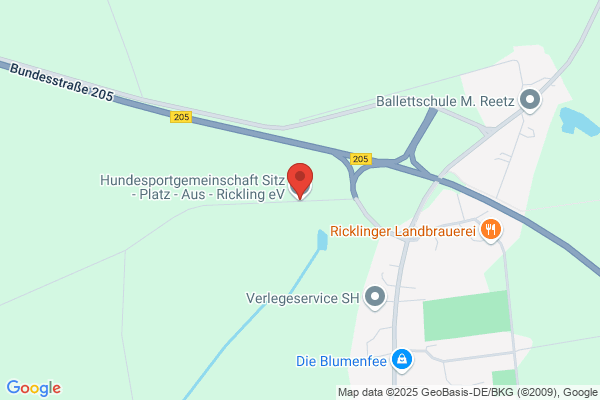 Hundeschule H2