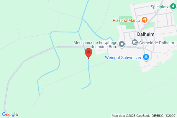 Borngässer