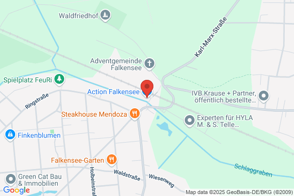 Action Falkensee