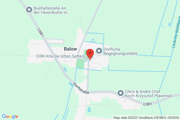 De Lütten Setters
