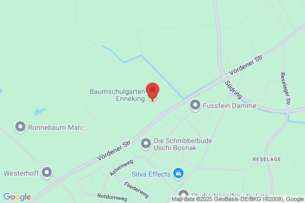 Baumschulgarten Enneking Galabau GmbH