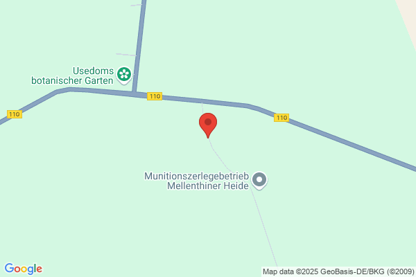Munitionszerlegebetrieb Mellenthiner Heide, Sprengplatz