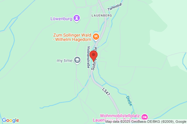 Bernd Gülle