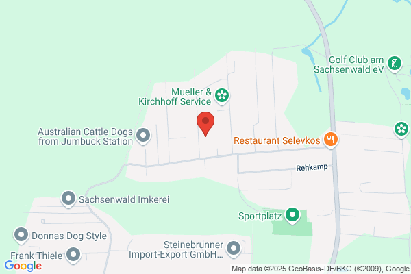 Choinka Sanierungstechnik GmbH