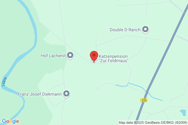 Katzenpension "Zur Feldmaus"