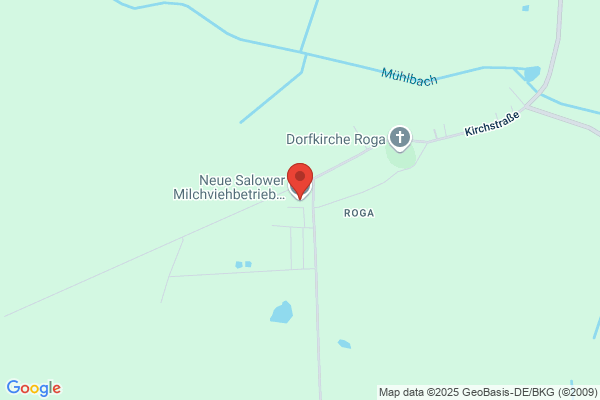 Neue Salower Landwirtschaftliche GmbH & Co.KG Salow