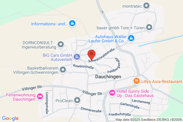 Diplom-Dolmetscherin Laura Schmutte
