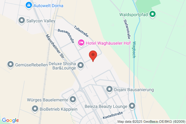 Lebenskraft, Selbstheilungskräfte