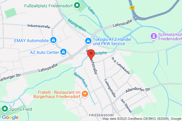 Fenner GmbH & Co. KG