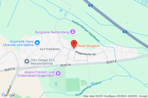 Hotel Burgwirt