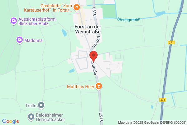 Forster-Salon