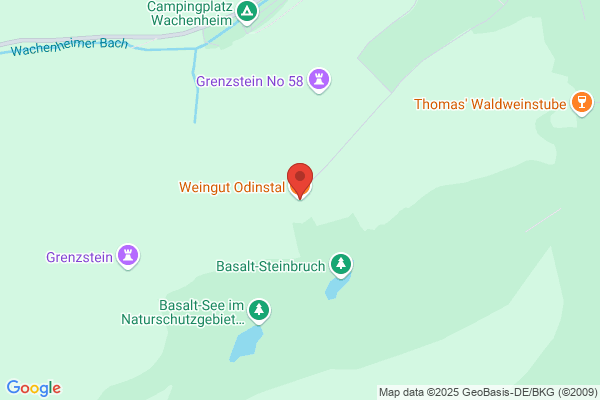 Weingut Odinstal