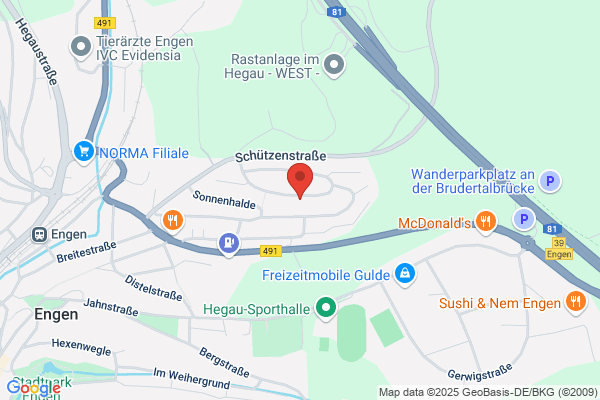 Software Engineering Hauschel