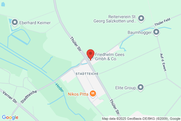 Friedhelm Gees