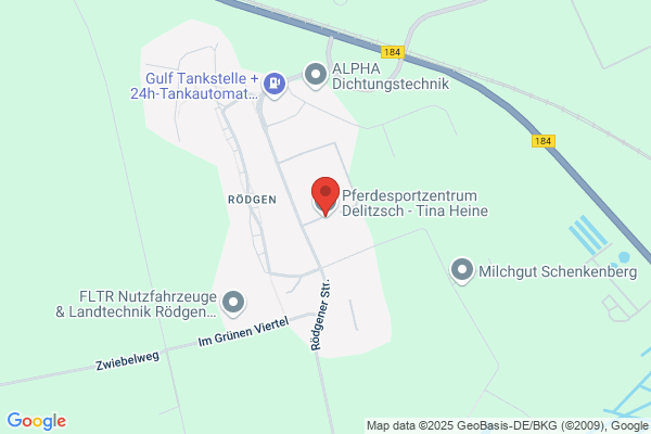Mein Pferdecoach
