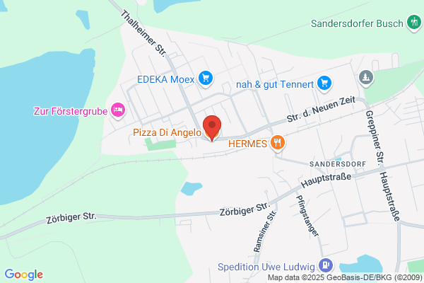 Pizza Service Angelo