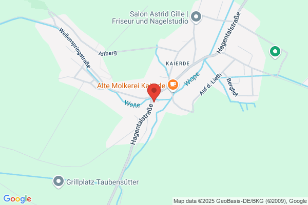 HilsBrandTim Wegener Holzbrennstoffe