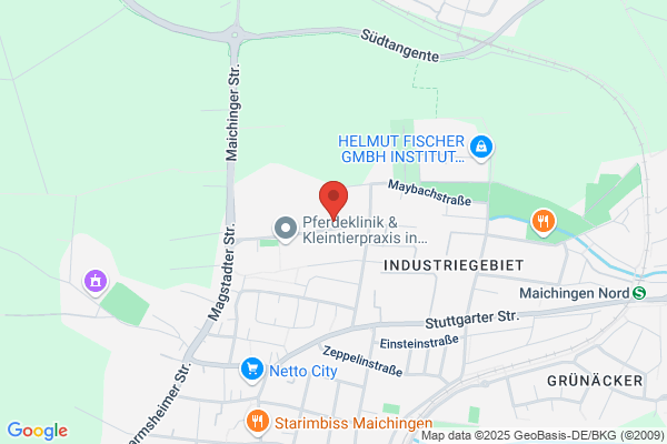 Sapper Günter GmbH