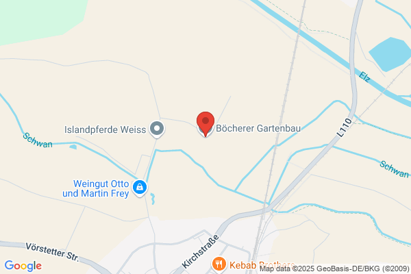 Böcherer