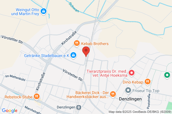 Moser GmbH Schornstein u. Ablufttechnik