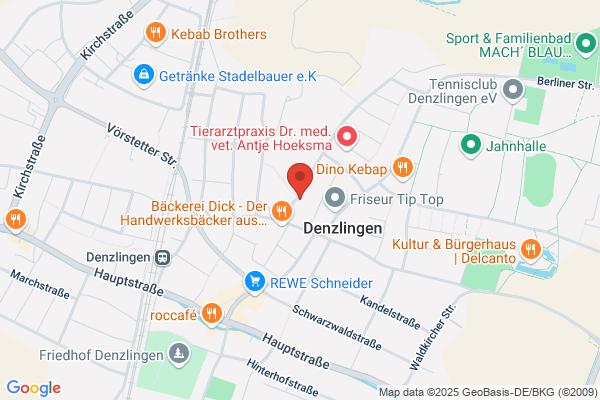 Projektfinanz GmbH
