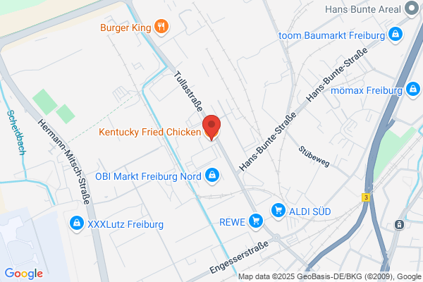 Kentucky Fried Chicken