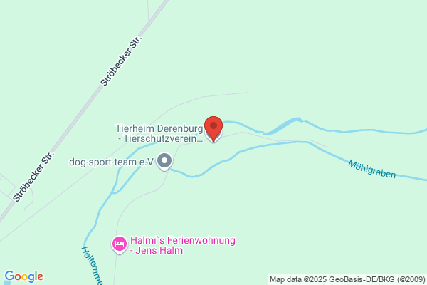Tierheim Derenburg - Tierschutzverein