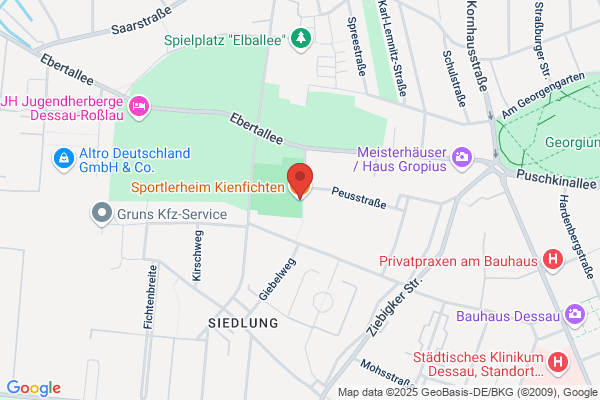 Kienfichten