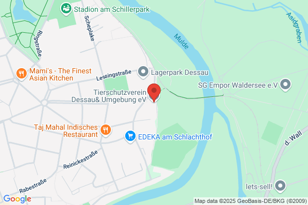 Tierschutzverein Dessau und Umgebung e.V. Tierheim Dessau