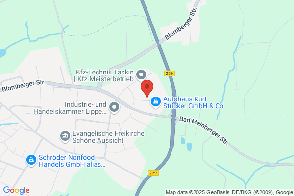 Kfz-Prüfstelle Detmold/ FSP Prüfstelle/ Partner des TÜV Rheinland