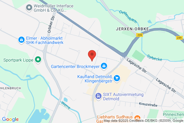 Friesen-Dach