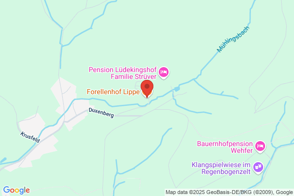 Fiege Günter Hotel Forellenhof