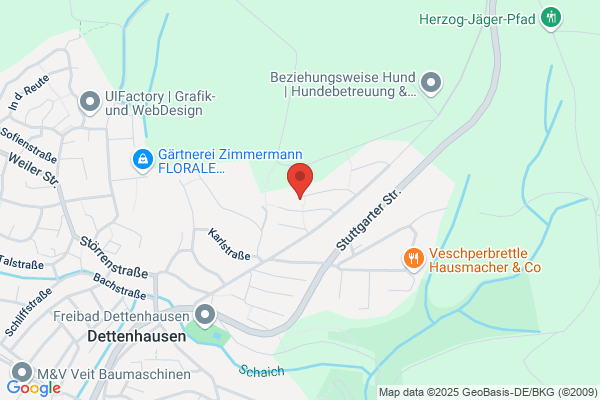 Umwelt-Energetik Bieg