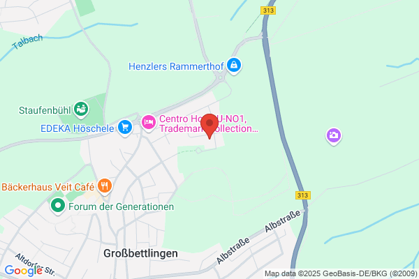 ETL ADVISA Metzingen Steuerberatungs GmbH