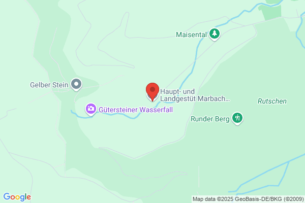 Haupt- und Landgestüt