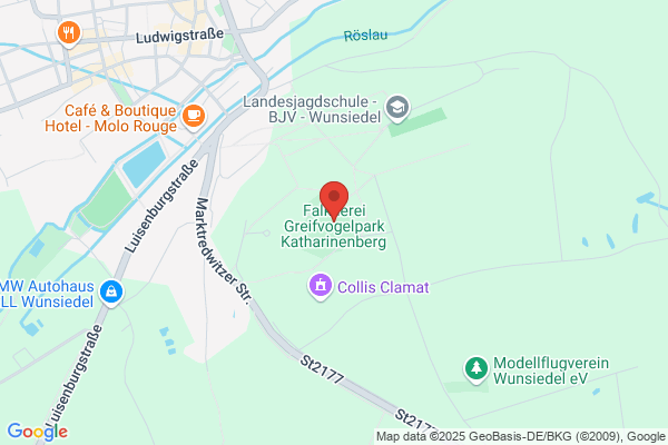 Falknerei Greifvogelpark Mickisch