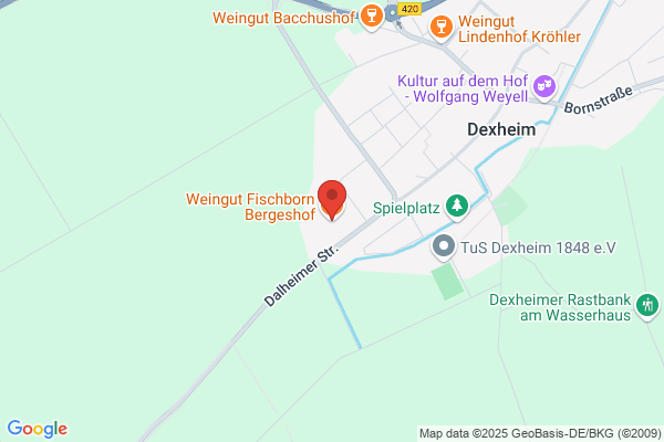 Borngässer