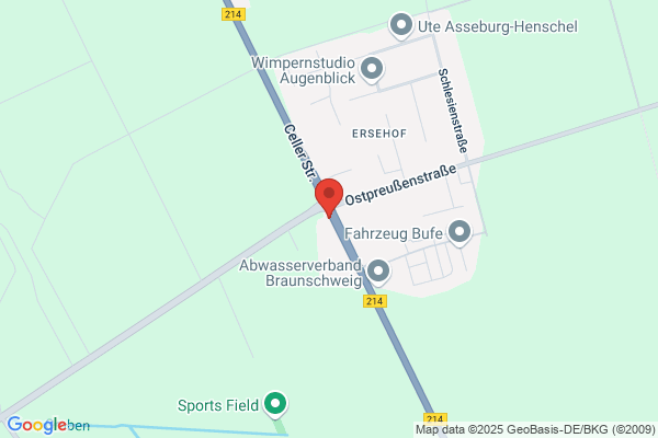 dogs-coach Hundeschule