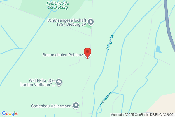 Pohlenz