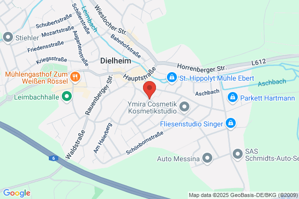 Alt-Dielheim