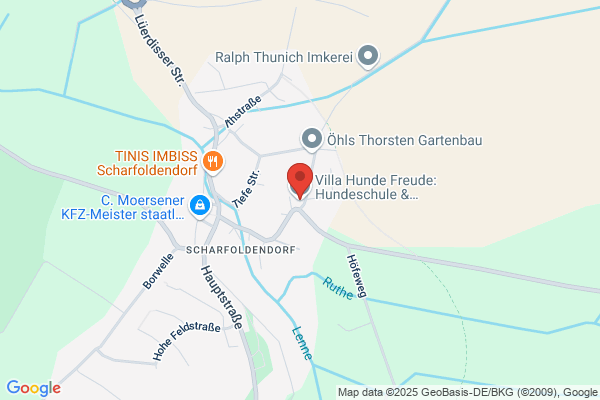 Villa Hunde Freude