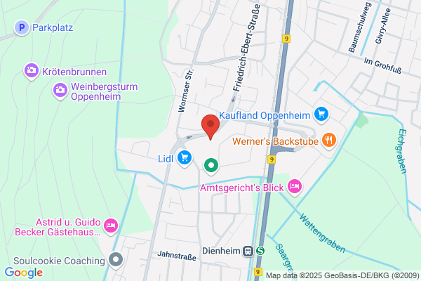Tourismus-Service-Center Rhein-Selz