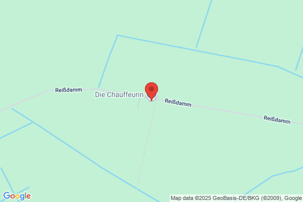 Die Chauffeurin