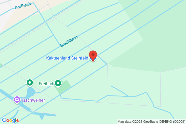 Kakteenland Steinfeld