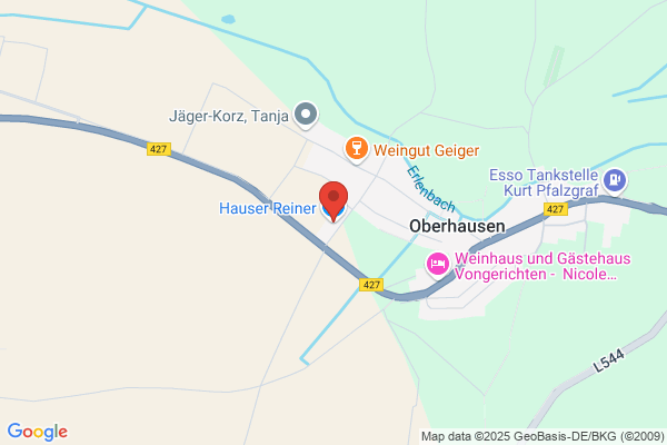 Reiner Hauser