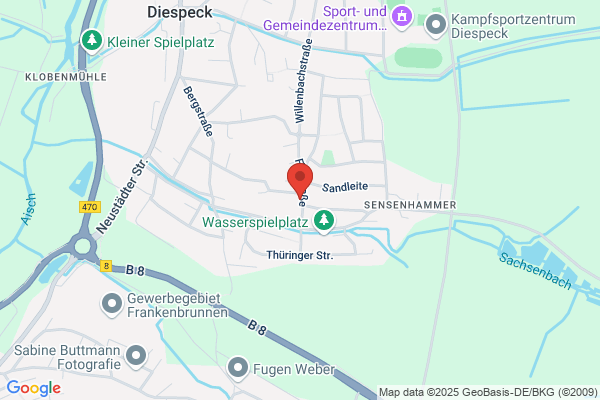 TSV Neustadt/Aisch Handball