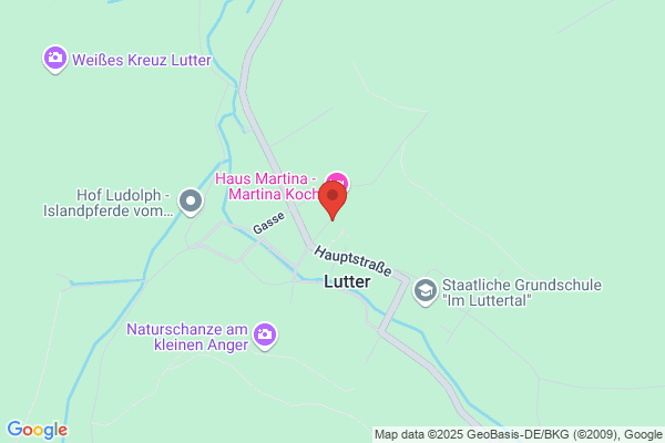 Die Reisebegleiter