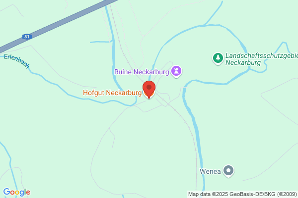 Reitverein Hofgut Neckarburg e.V.