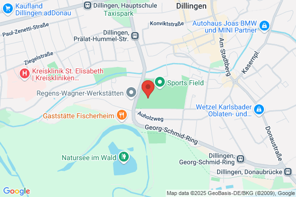 Donaustadion